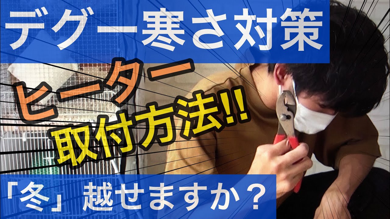 【デグーって寒くないの!?】「冬の寒さ」対策にヒーター取付け！