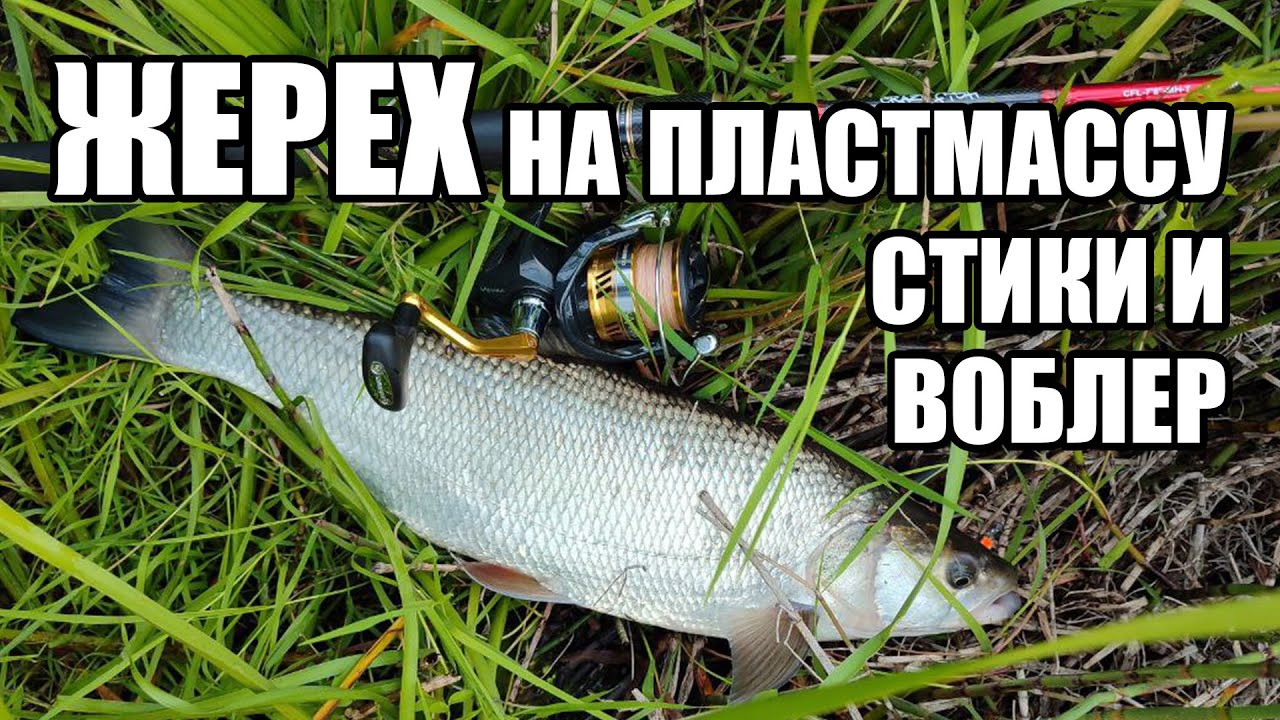 Рыбалка на жереха. Ока в черте города. Учусь ловить на стики и воблеры. Тейлики пока пошли отдыхать