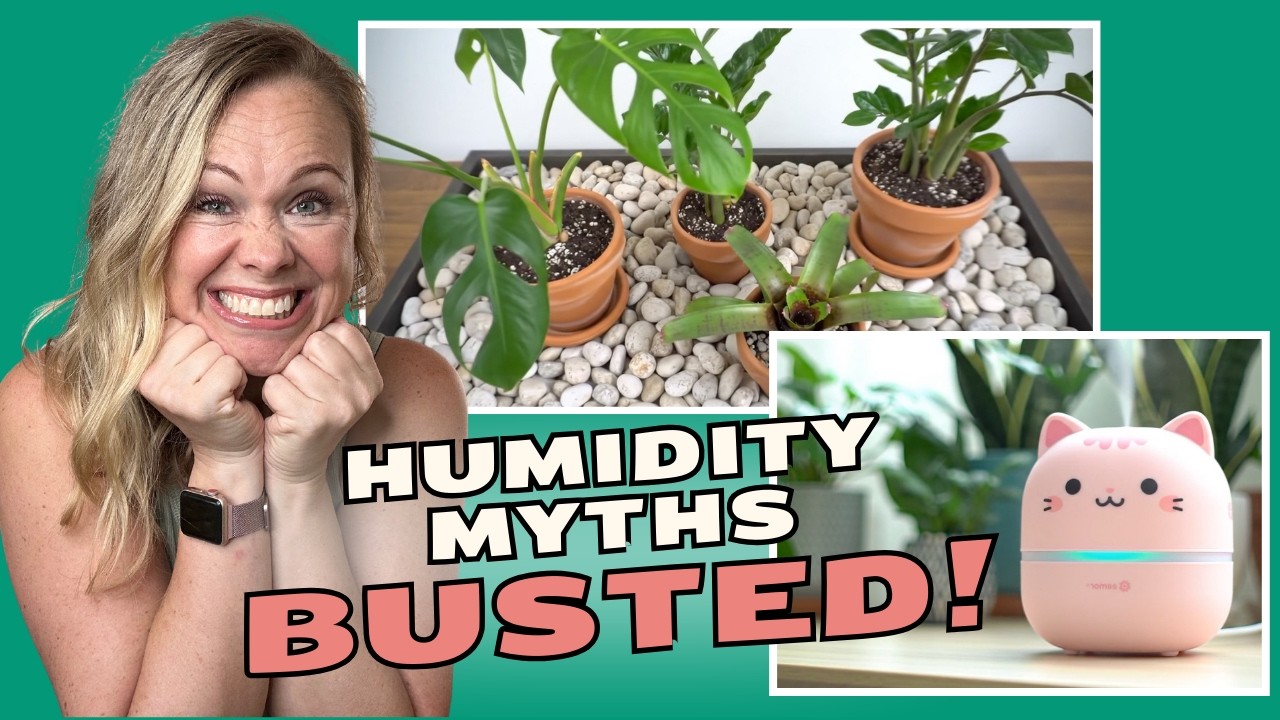 The TRUTH About Humidity! Why Your Plants Are Struggling