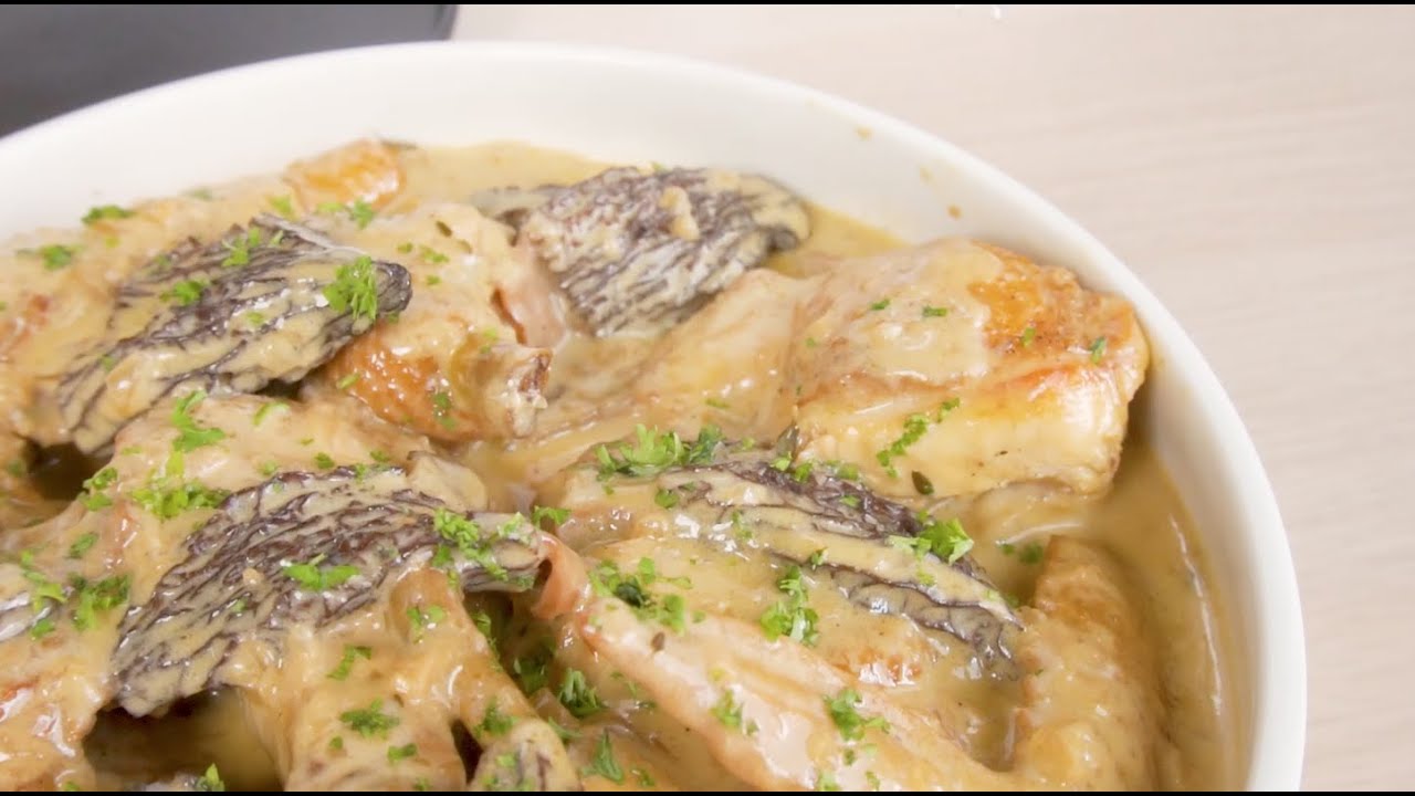 Creamy Morel Chicken Stew 羊肚菌炖鸡
