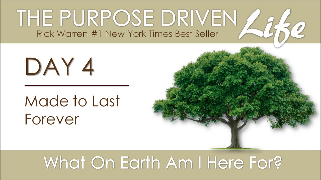 Purpose Driven Life | Day 4