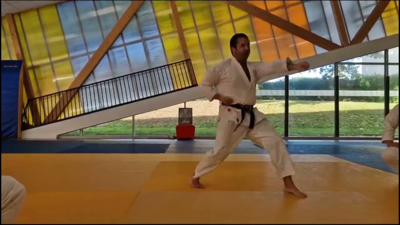 Kepping Stance Alive - Kihon