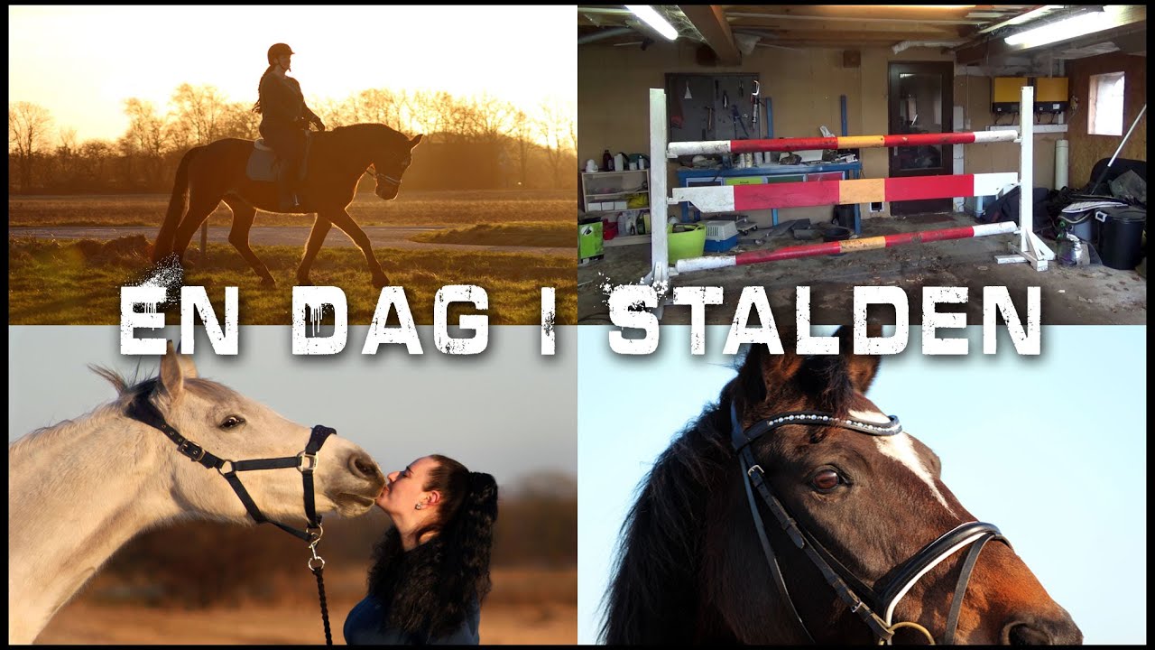 En Dag i Stalden