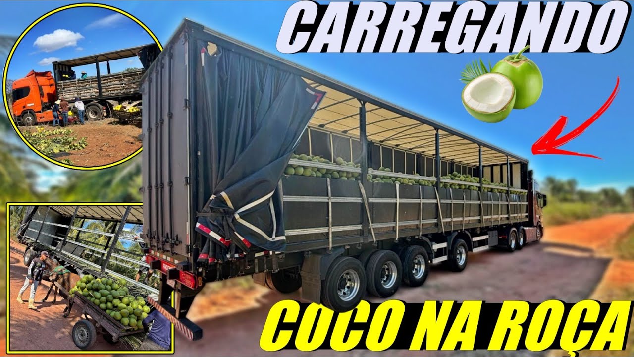 CARREGANDO COCO NA ROÇA NO CEARÁ... PARTIU CEAGESP!!!