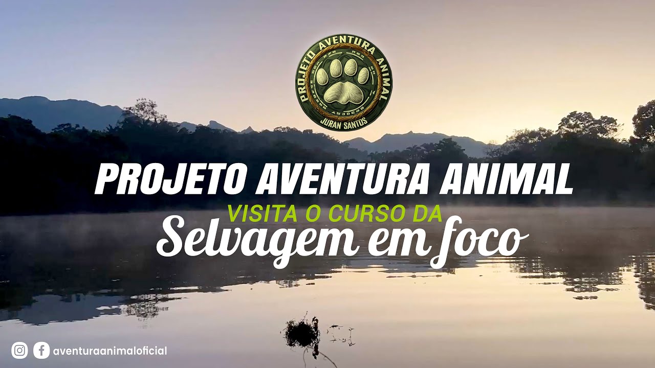 #PROJETO_AVENTURA_ANIMAL VISITA O #CURSO DA #SELVAGEM_EM_FOCO