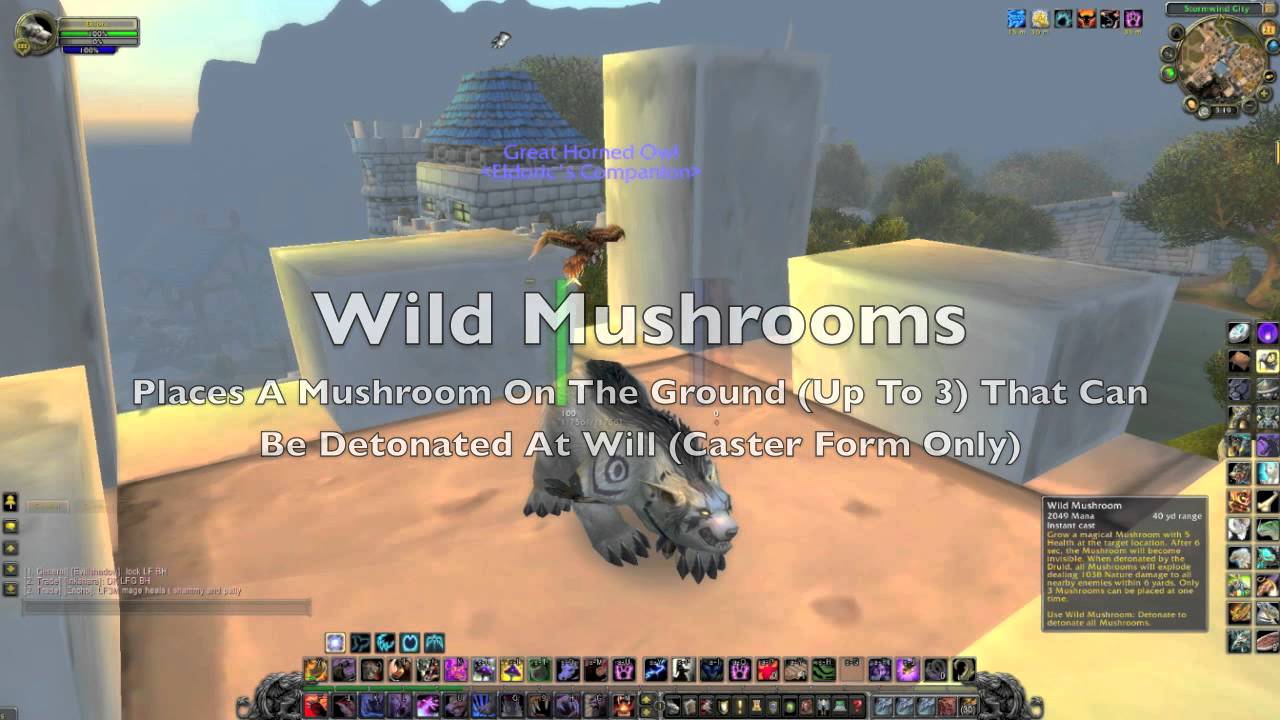 The Guardian Tank: Cataclysm-Druid Tanking At Lvl 85