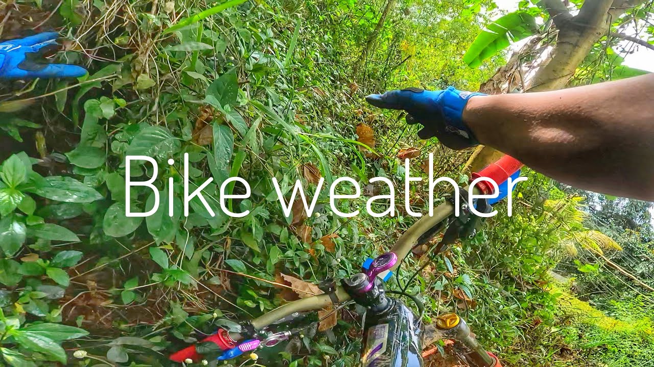 Bike weather