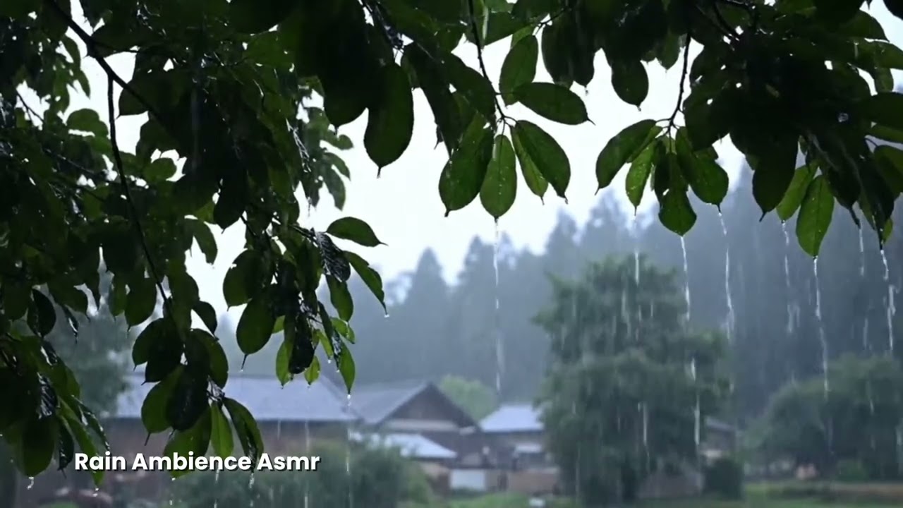 Calming Rain for Deep Sleep | 3 Hour Rain Sounds