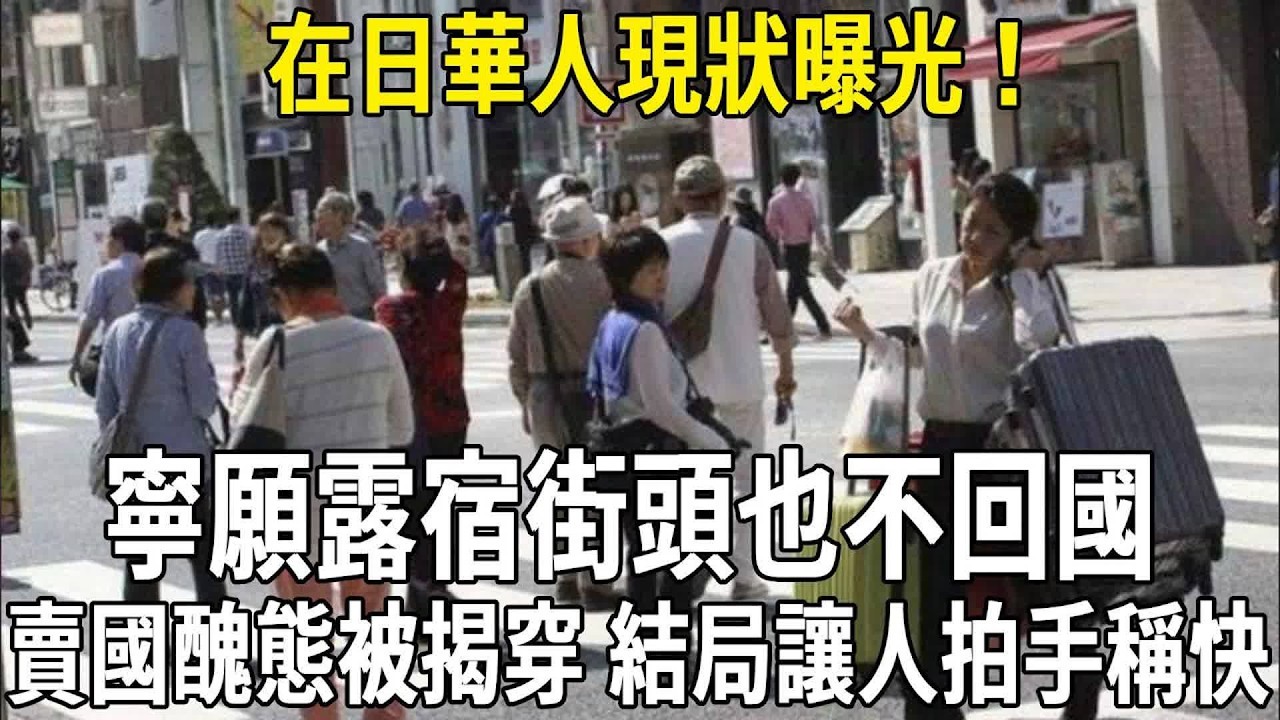 在日華人現狀曝光！寧願露宿街頭也不回國，賣國醜態被揭穿結局讓人拍手稱快！