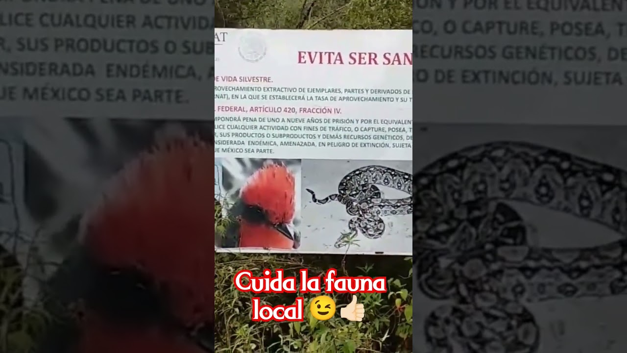 #proteccionanimal  #medioambiente #naturalezaincre&iacute;ble