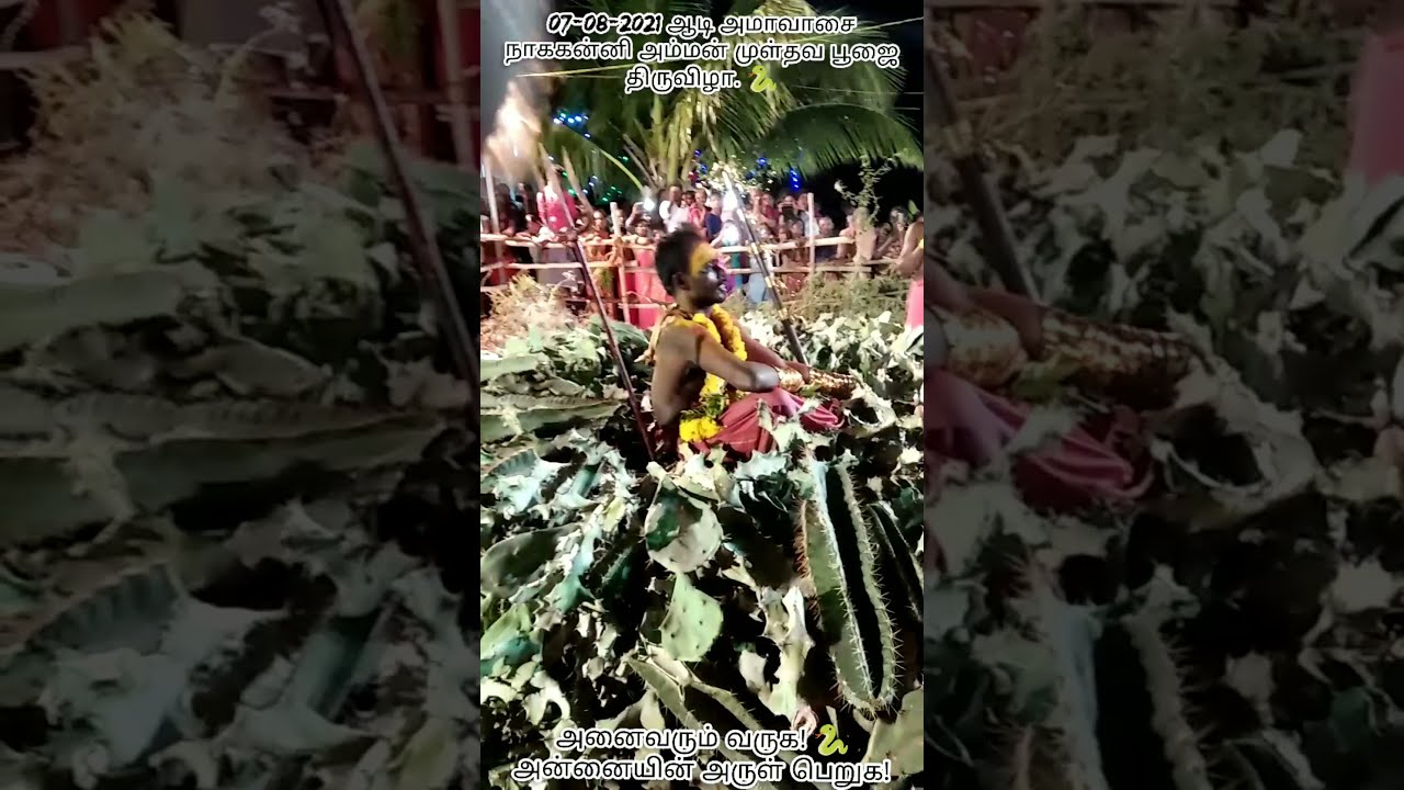 இரவு 8 நாககன்னி அம்மன் முள் மேடைக்கு செல்லும் தருணம் 🐍 nagakanni dance moment mobile capture.