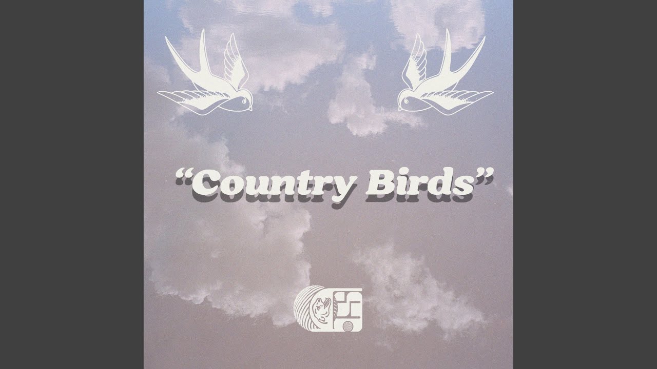 Country Birds (feat. Zack Wiggs)