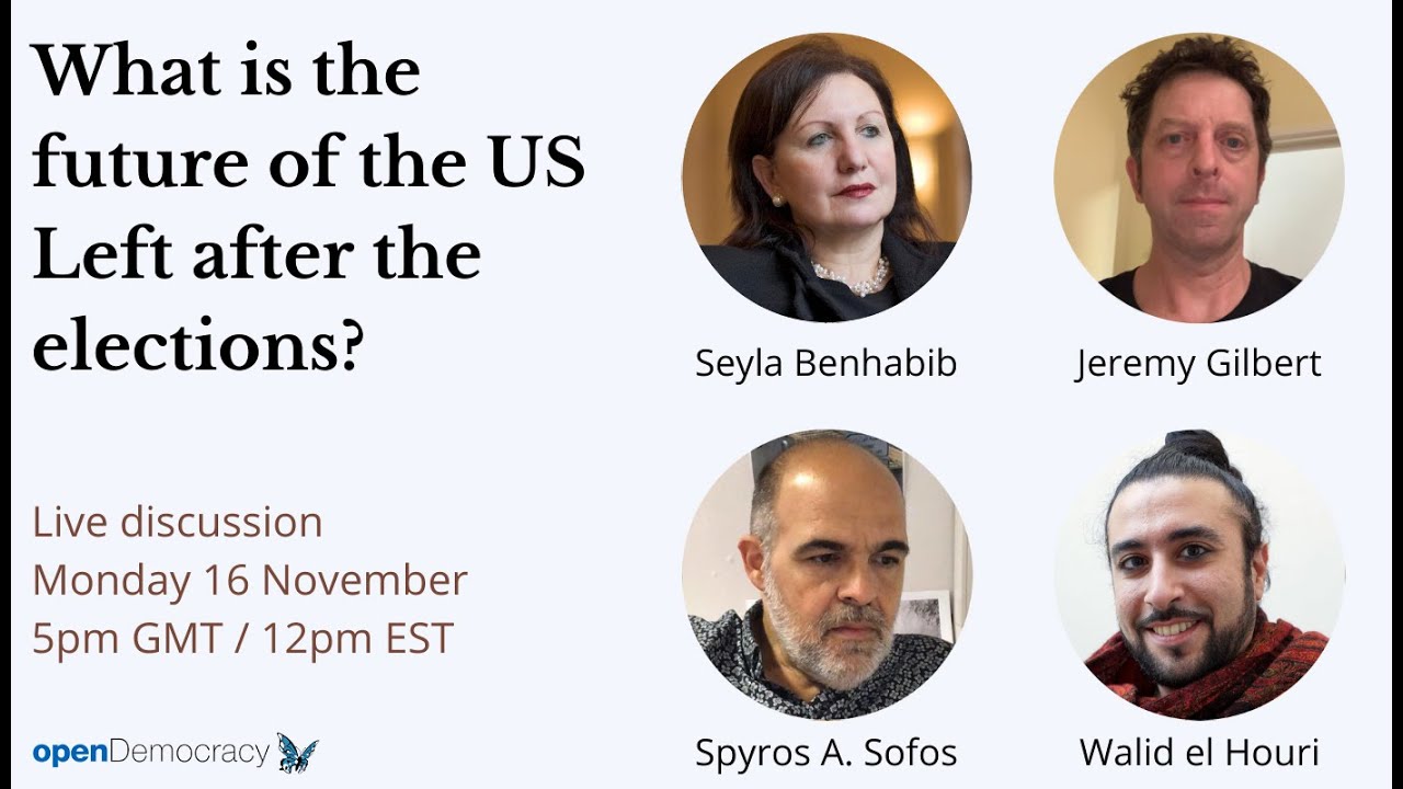 What is the future of the US Left after the elections?