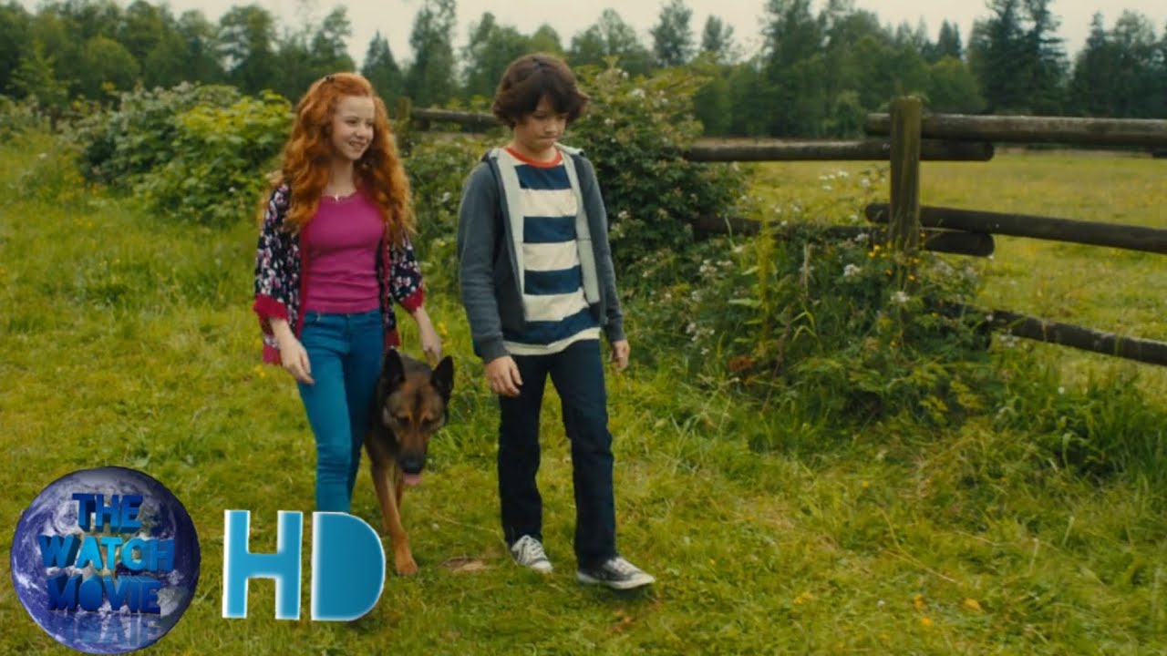 Max 2 White House Hero|Tj Spying Part 6|Movie Clip HD|Watch Movie HD
