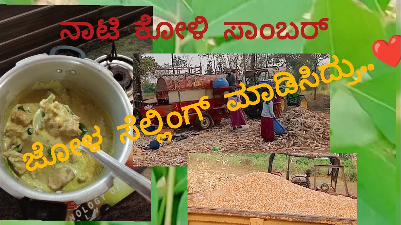 ನಾಟಿ ಕೋಳಿ ಸಾಂಬಾರ್... ಜೋಳ ಸೆಲ್ಲಿಂಗ್ ಮಾಡ್ಸಿದ್ರು.. ಹೇಗೆ ಗೊತ್ತ!