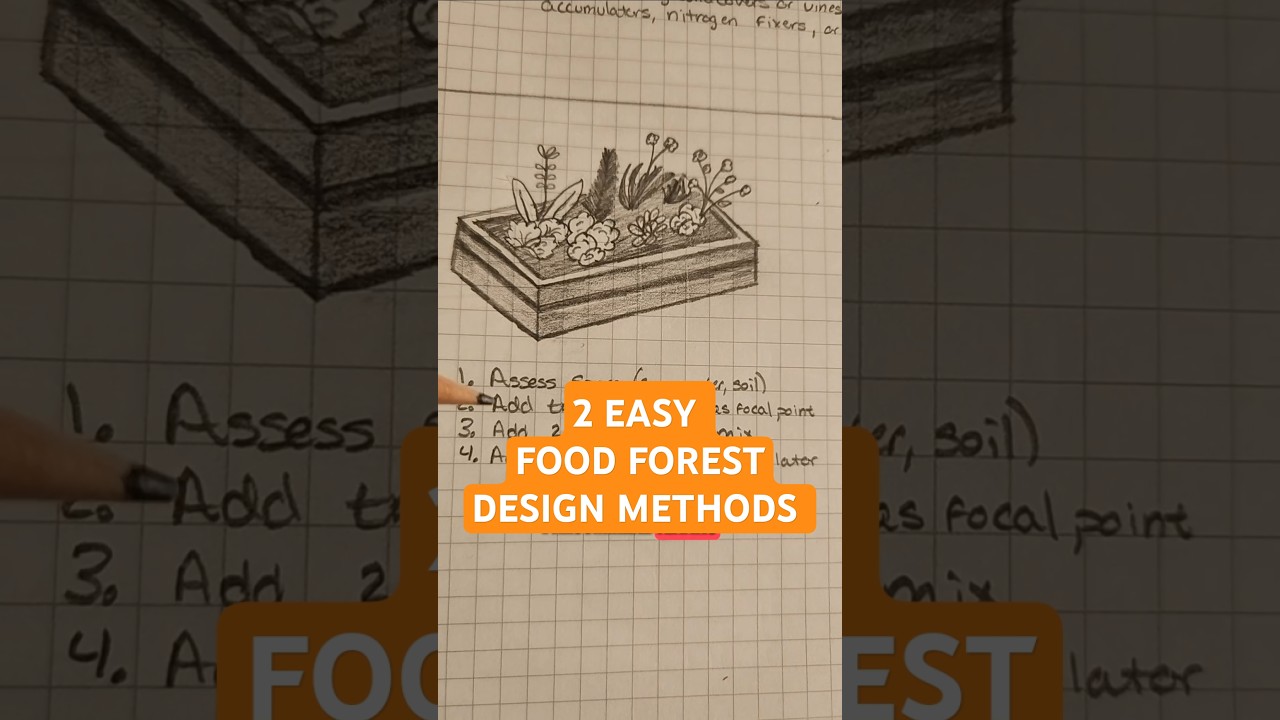 Easy food forest design methods anyone can do #foodforest #permaculture