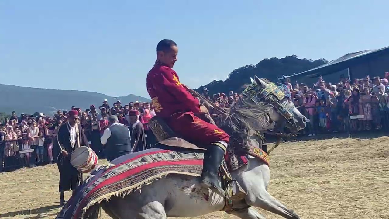 مهرجان سيدي ڨويدر طبرقة