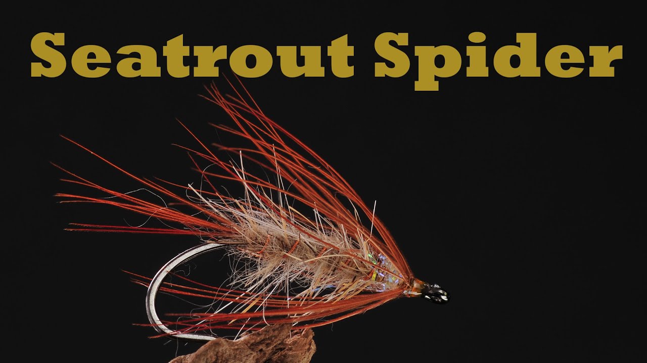 Vi binder en Seatrout Spider