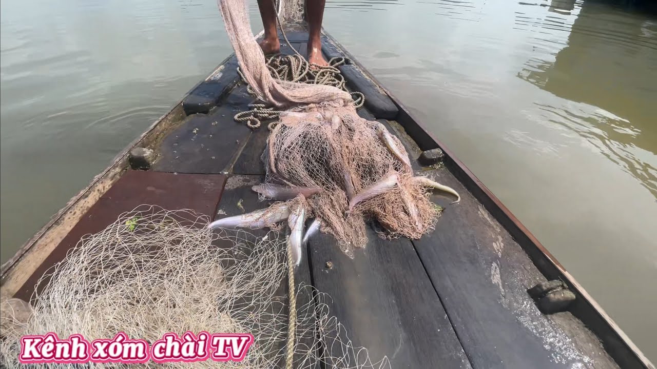 Ngày Mai Mắn Của Anh Em Được Vô Ổ Cá kết #fishing #mientay #xomduatv 
