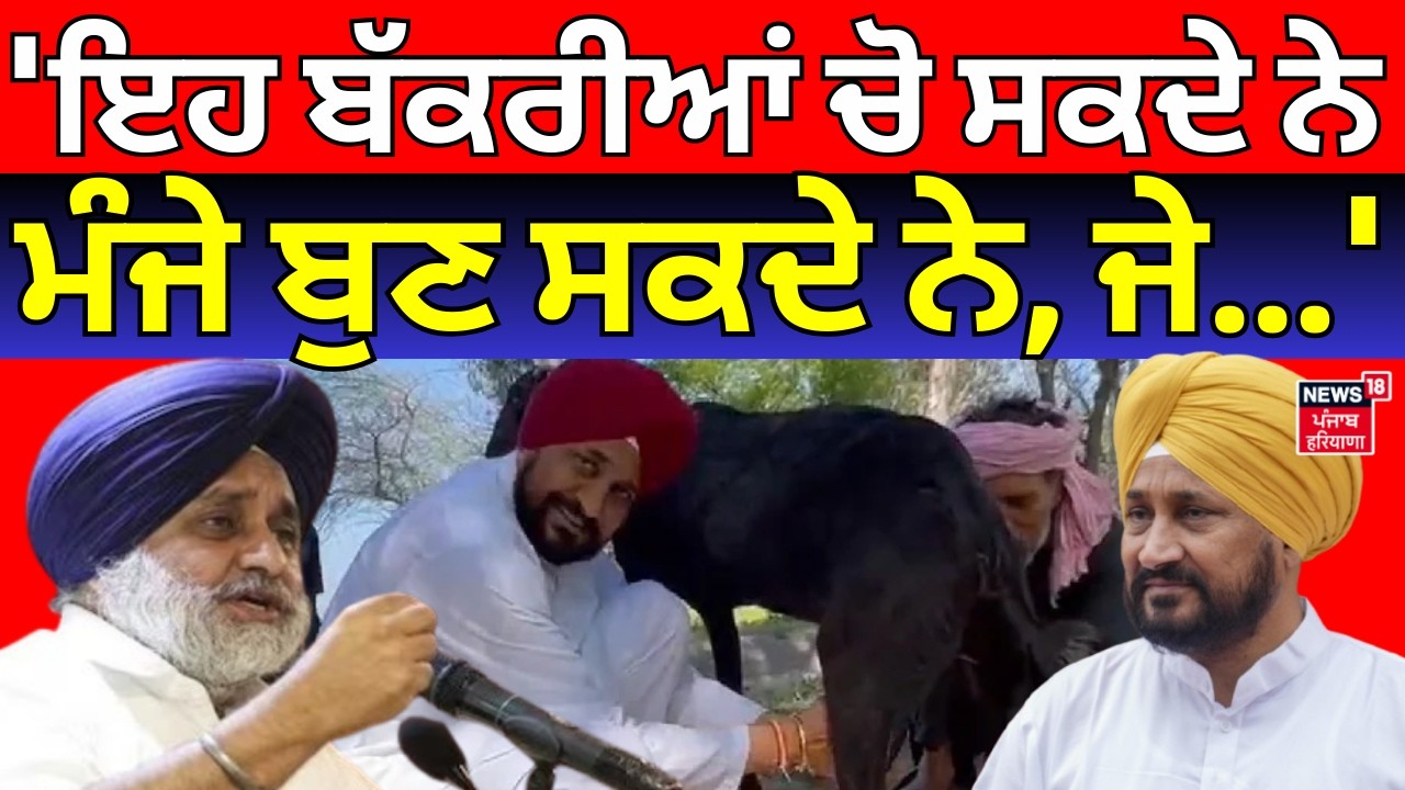 Sukhbir Badal on Charanjit Channi | 'ਇਹ ਬੱਕਰੀਆਂ ਚੋ ਸਕਦੇ ਨੇ, ਮੰਜੇ ਬੁਣ ਸਕਦੇ ਨੇ, ਜੇ...' News18 Punjab