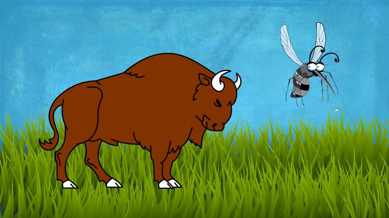 Da Esopo -  La zanzara e il toro