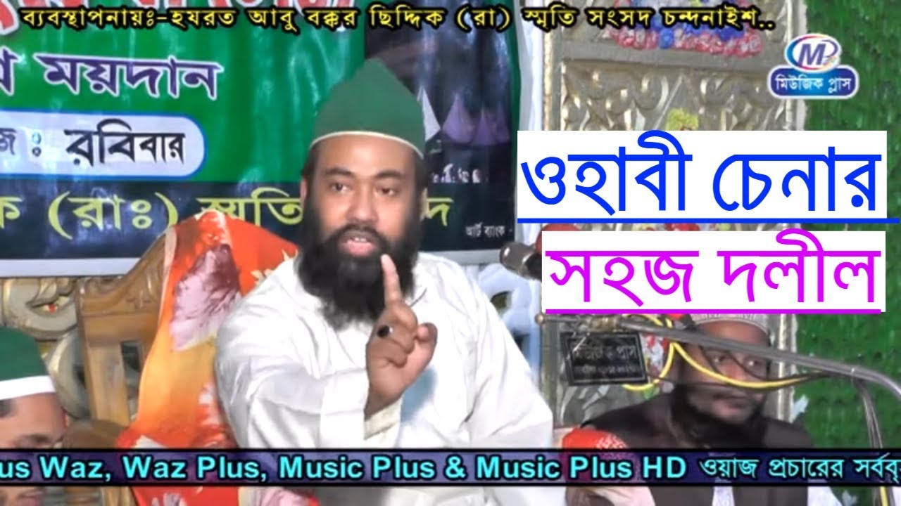 ওহাবী চেনার সহজ দলীল | মীর মোহাম্মদ মঈন উদ্দিন নূরী ছিদ্দিকী আল কুরাইশী | Music Plus Waz