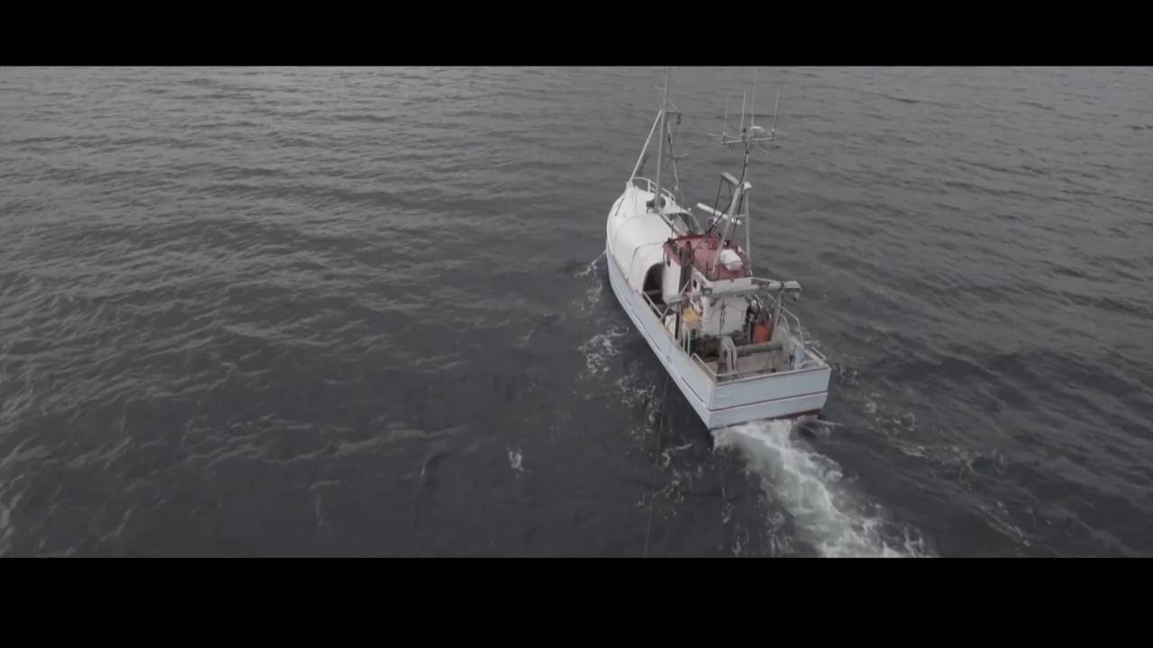 THE DEMISE OF THE DANISH FISHING INDUSTRY | DMJX