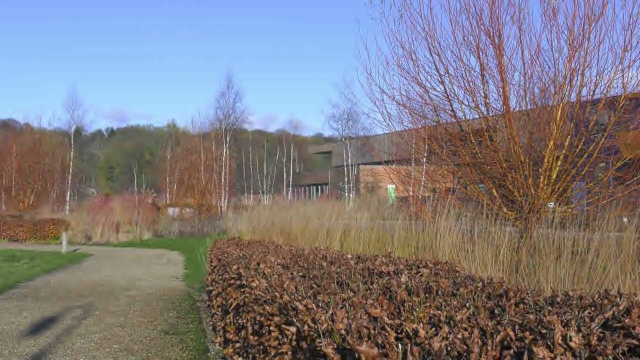 Tall Grasses - Jpeg 2000 MXF OP1a Level 0 (under 60 Mbps)