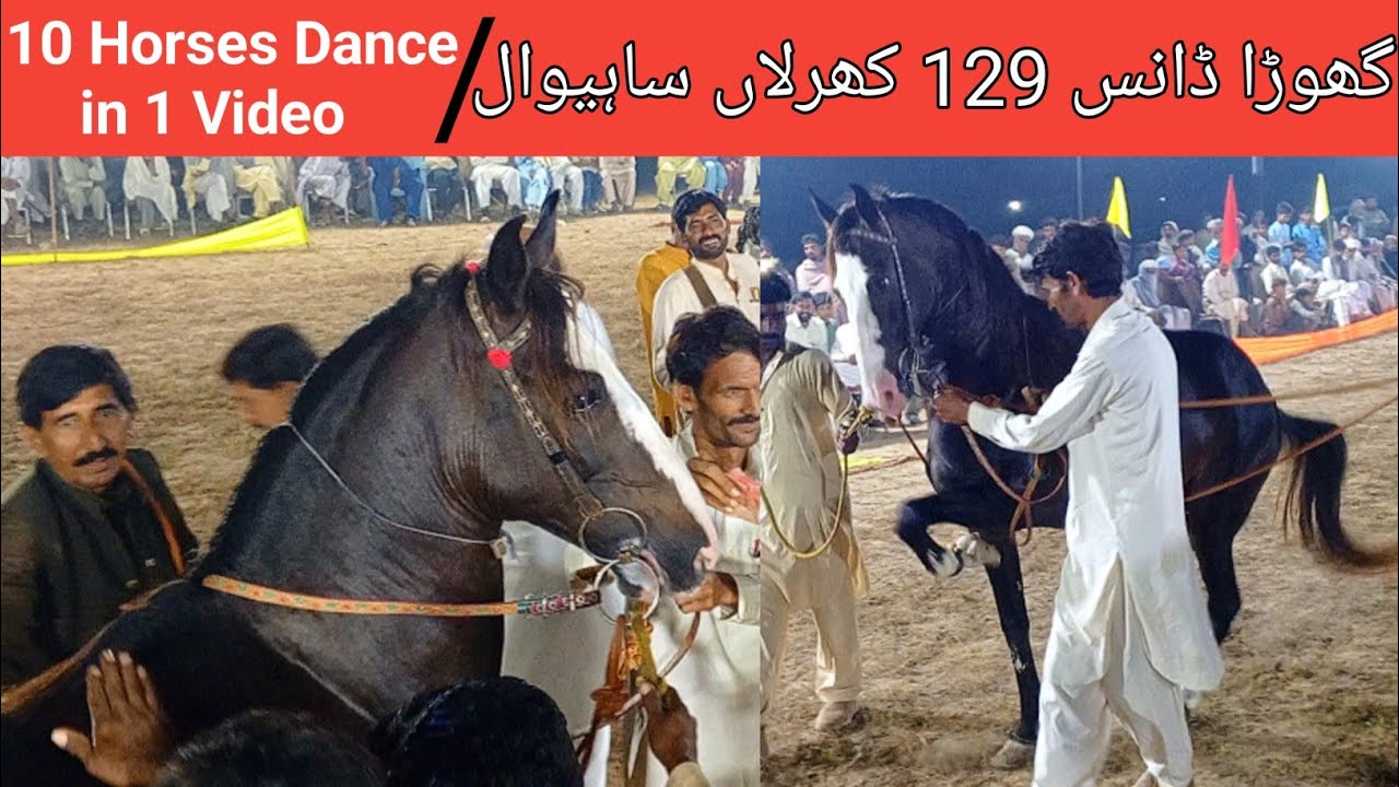 The Wildest Horse Dance Festival in Pakistan|Horse Dance|