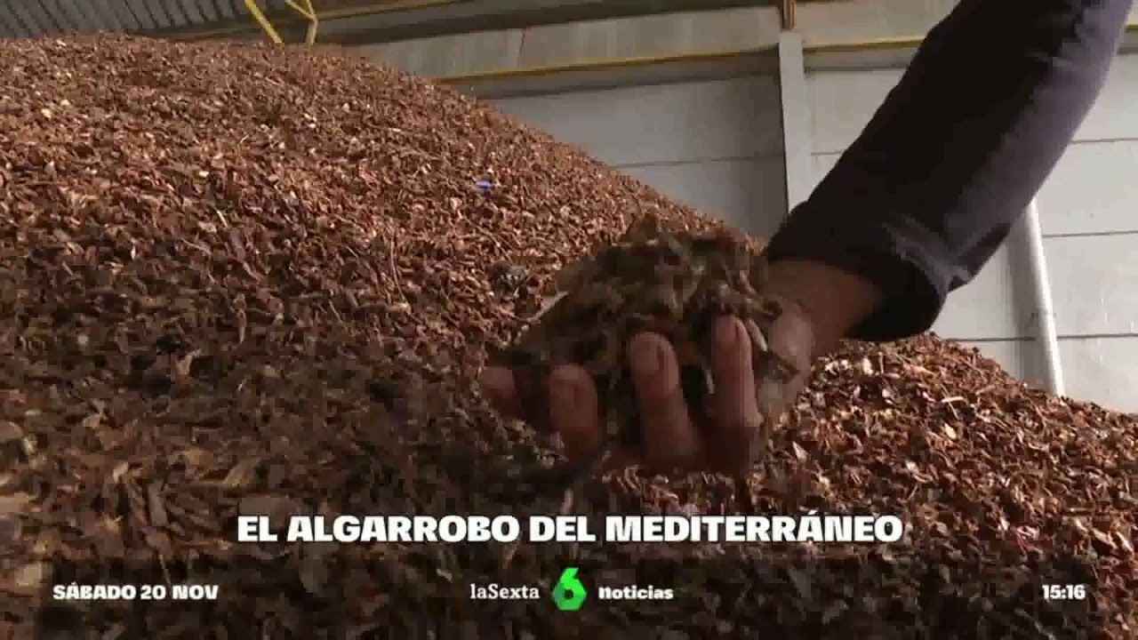 El técnico responsable de frutos secos de AVA-ASAJA habla del 'boom' de la algarroba en La Sexta