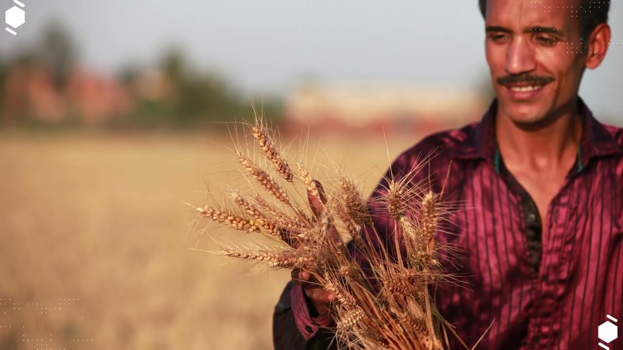 Biofortification: A Proven Way to Tackle Hidden Hunger