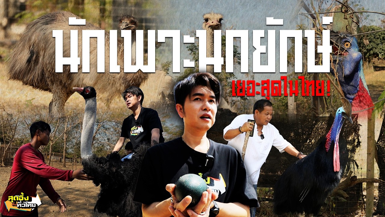 อาณาจักรนักผลิตนกยักษ์เยอะสุดในประเทศ | สุดอึ้งทึ่งทั่วไทย
