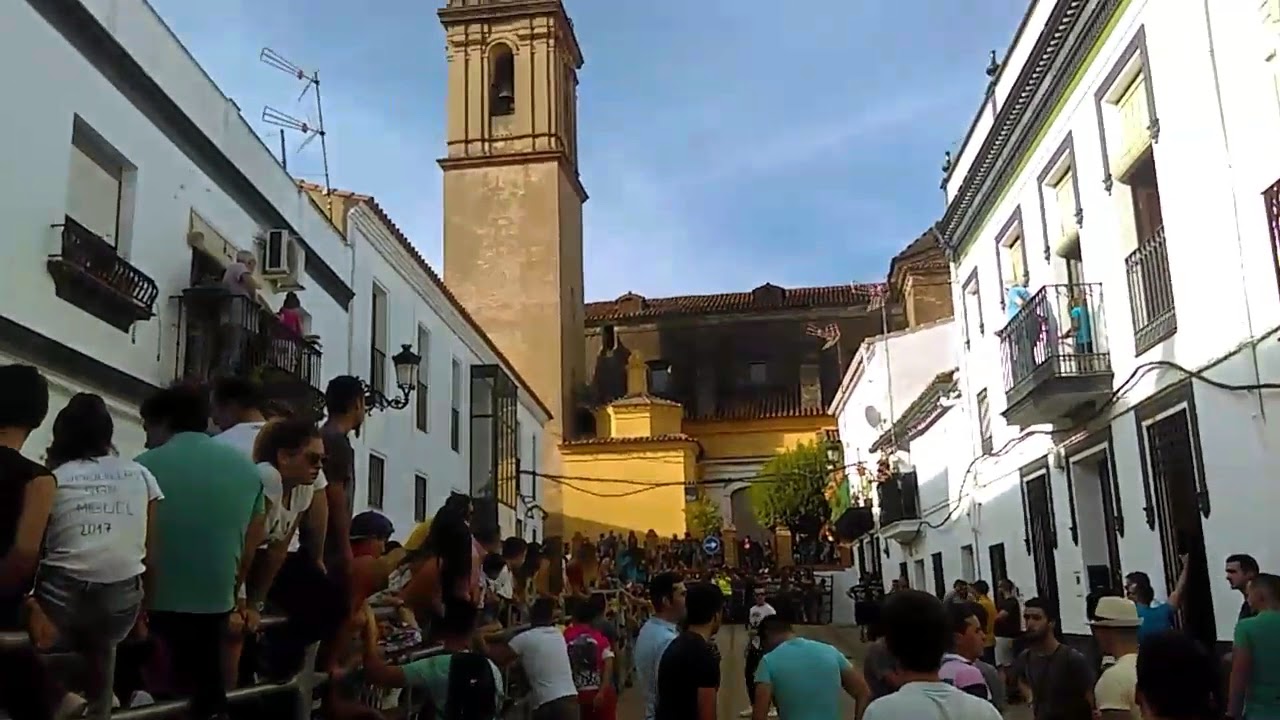 Así viven los festejos de San Miguel en Jabugo (Huelva) por tercer año consecutivo.