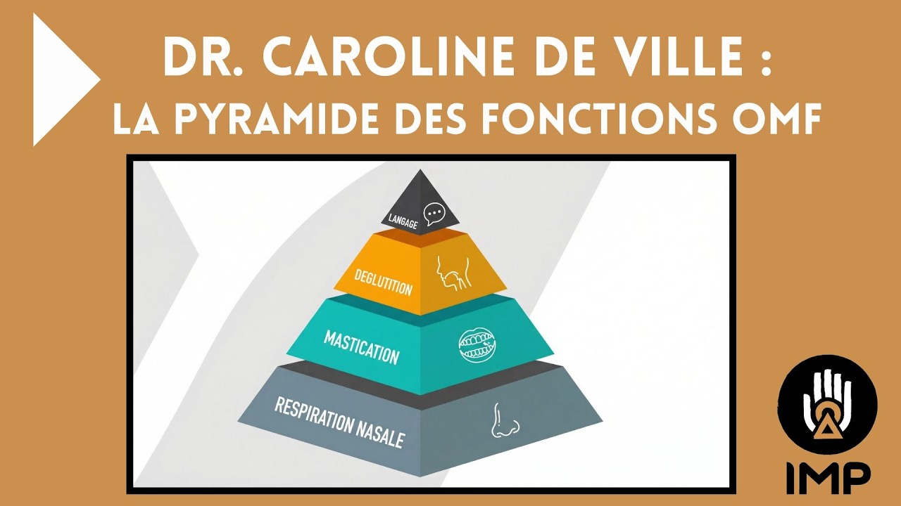 La pyramide des fonctions oro-maxillo-faciales (OMF) : respirer, mastiquer, déglutir.