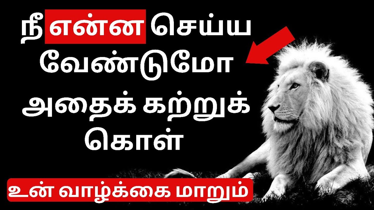 இந்த 3 ஐ செய் உன் வாழ்க்கை மாறும் | Wealth Mindset 17 | EPIC LIFE TAMIL MOTIVATION VIDEO