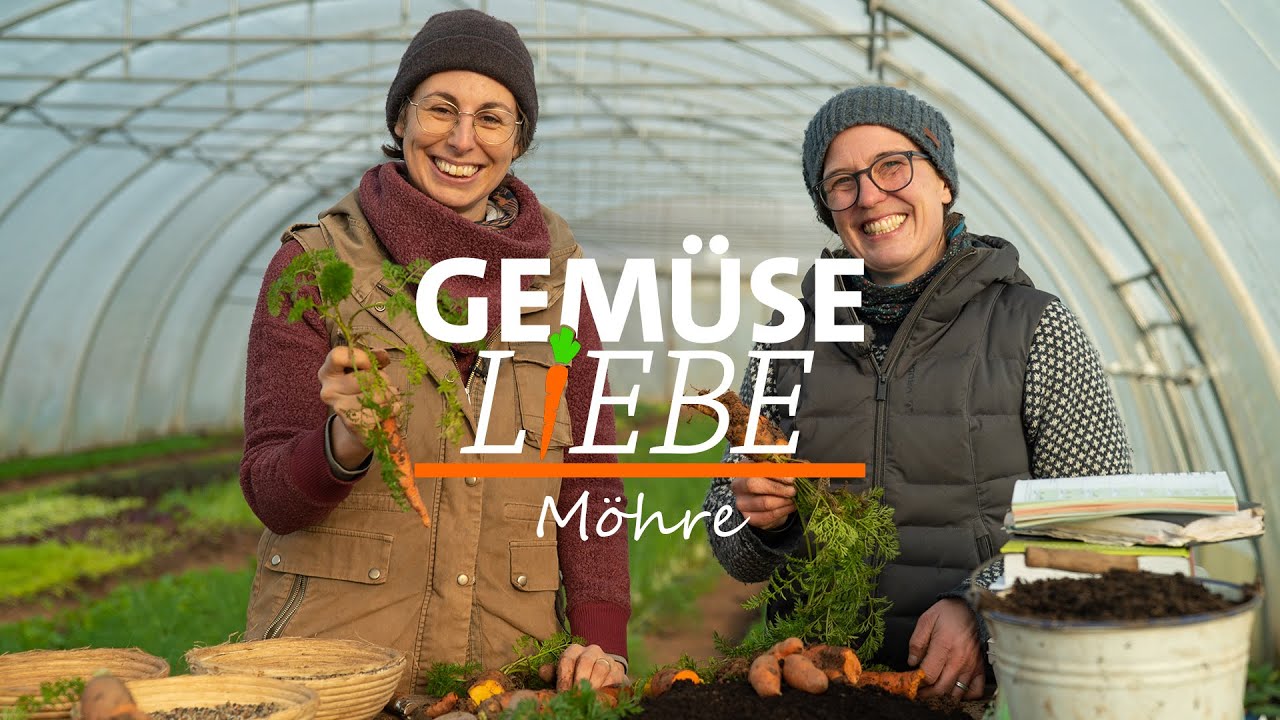 Möhren - Alles was Du über Anbau, Pflege und Lagerung wissen musst | Gemüseliebe