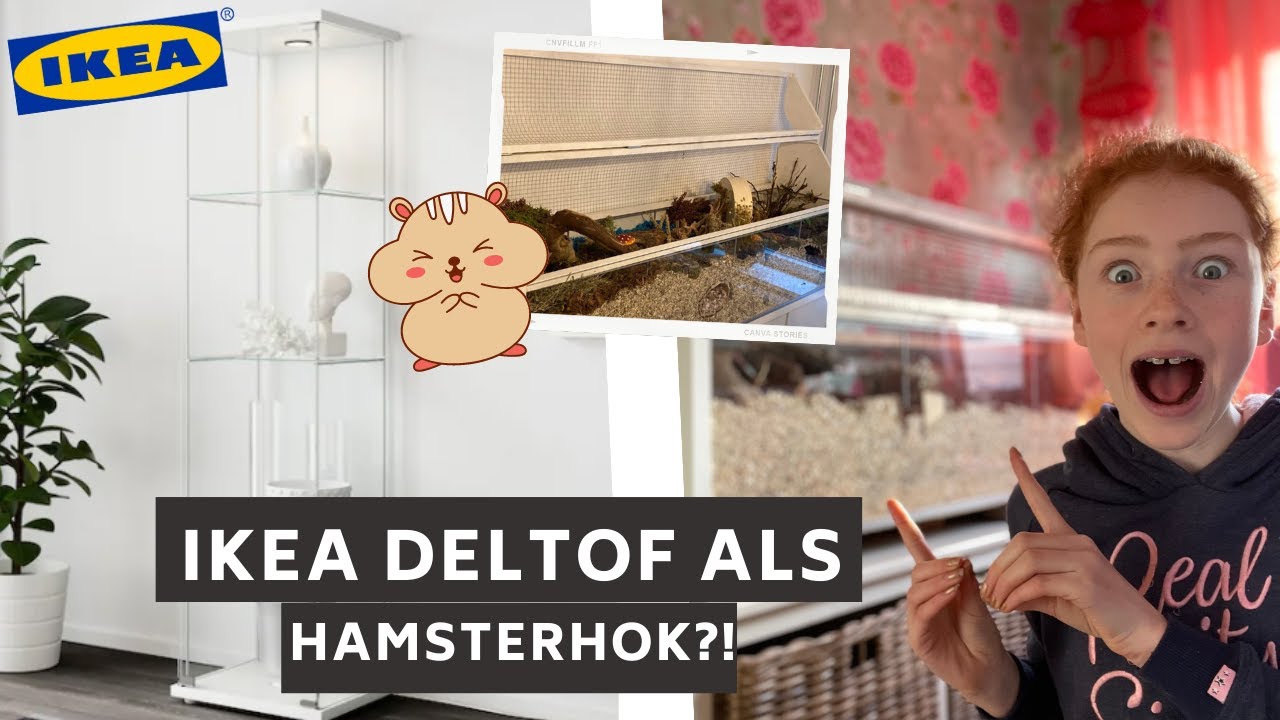 is de IKEAL DELTOF een geschikt HAMSTER TERRARIUM?! |Aimée's World
