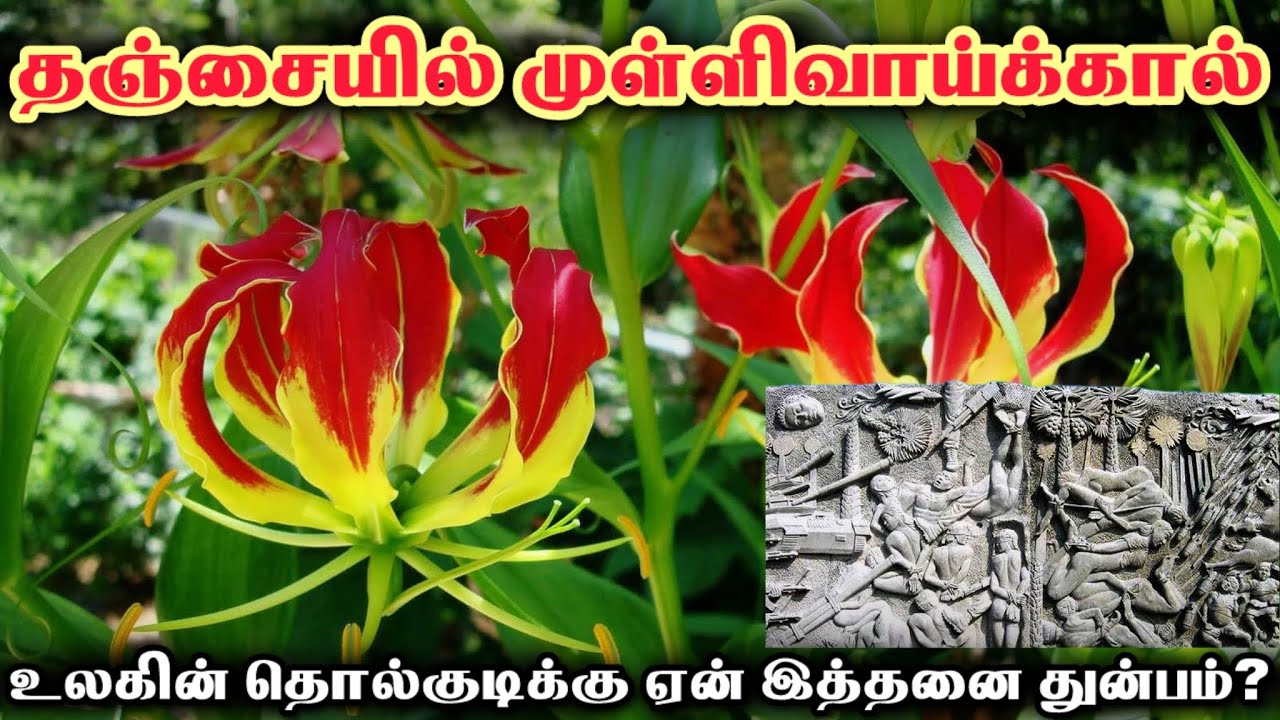 தஞ்சையில் ஒரு முள்ளிவாய்க்கால் | Mullivaikkal | Tamil ஈழம்