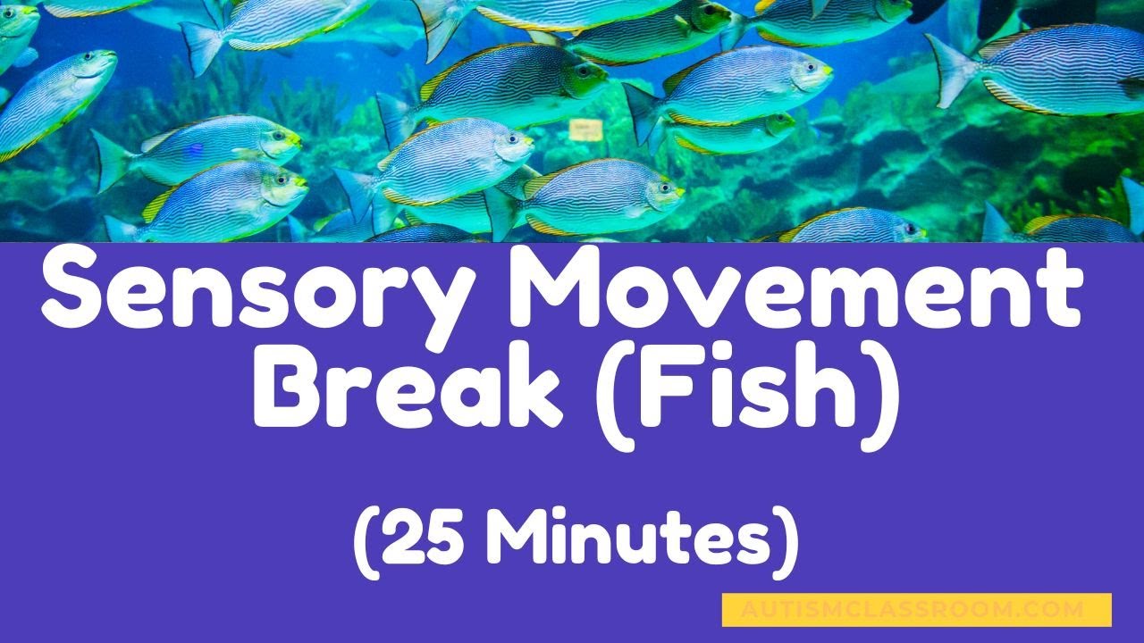 Sensory Movement Break Calming Music (Fish) for a Timed 25 Minute Break