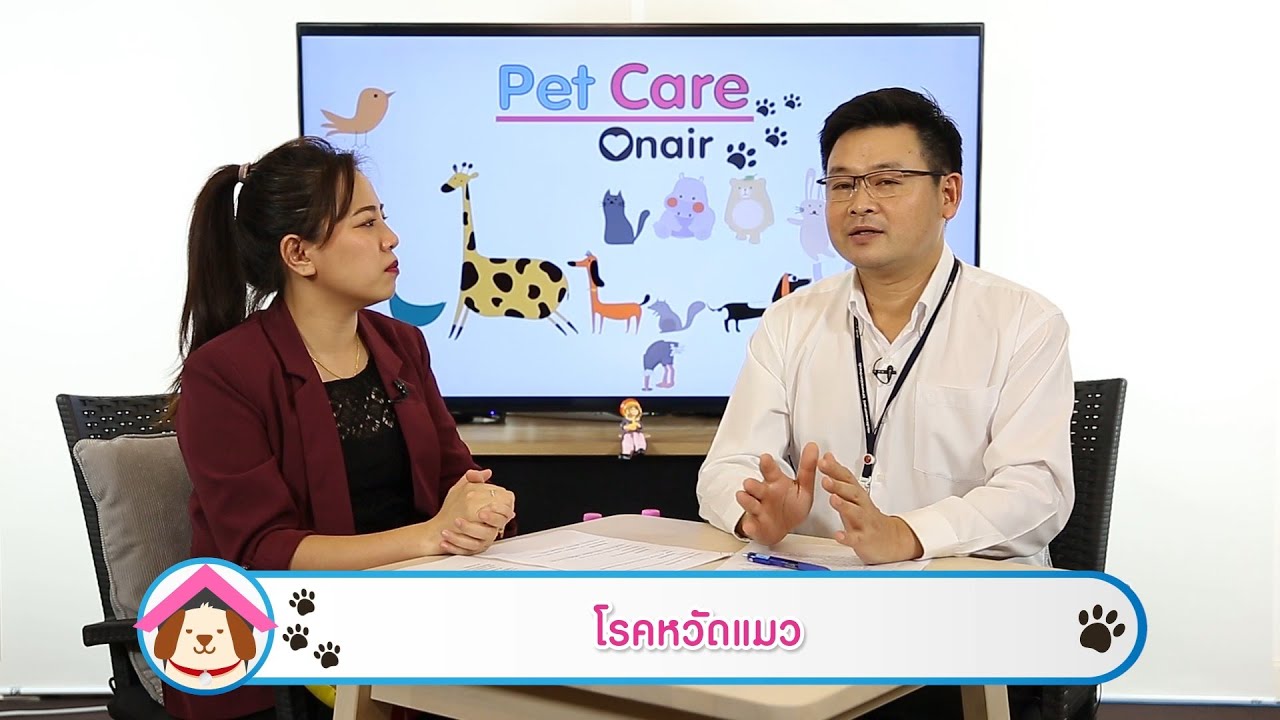 โรคหวัดแมว | รายการ pet care onair