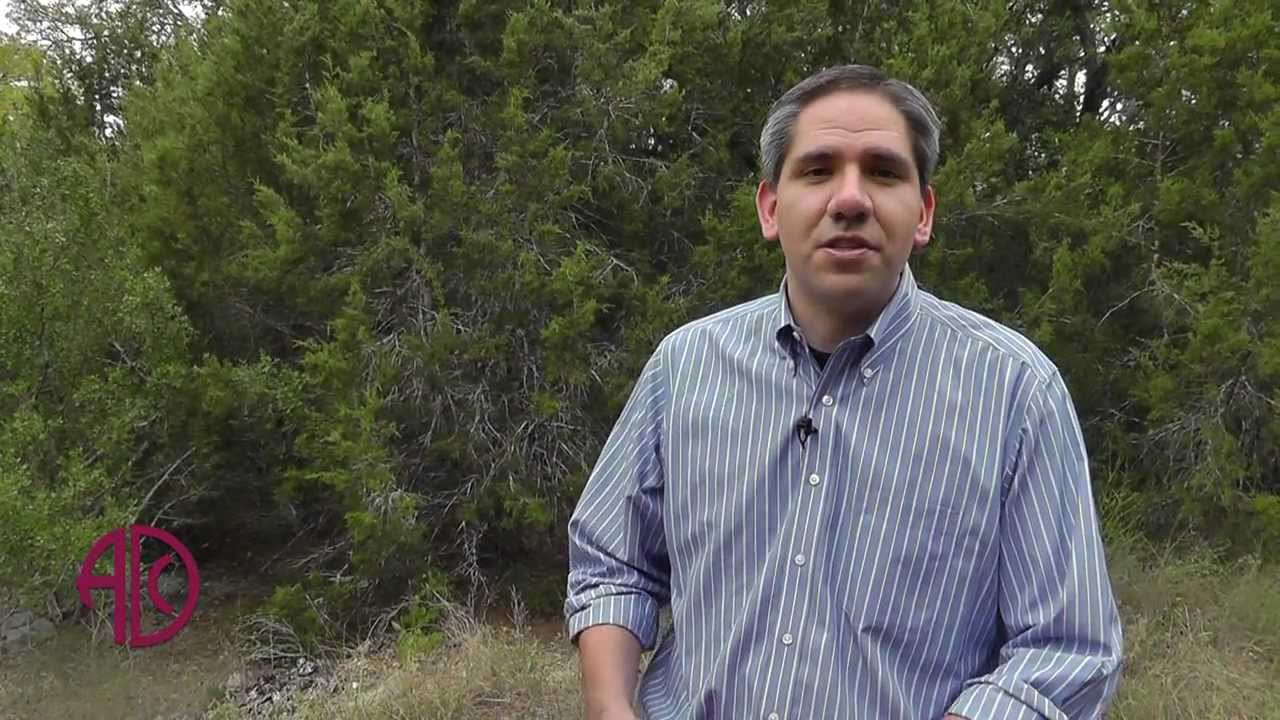Tips to outsmart allergies: What are you allergic to? - ADC