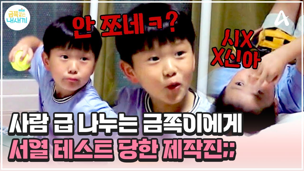 [#금쪽이] 제작진 급 나누는 지능형 금쪽이 등장💥 만만한 어른에게는 막말까지ㄷㄷ | 금쪽같은 내새끼 206회