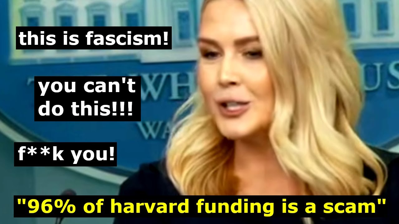 BREAKING: Woke universities are 100% f**ked now 😂