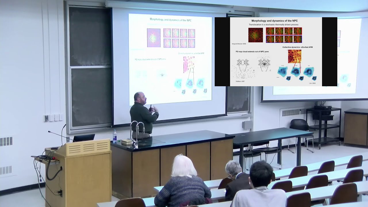 Simple physics of complex &ldquo;biomachines&rdquo;: the curious case of the Nuclear Pore Complex