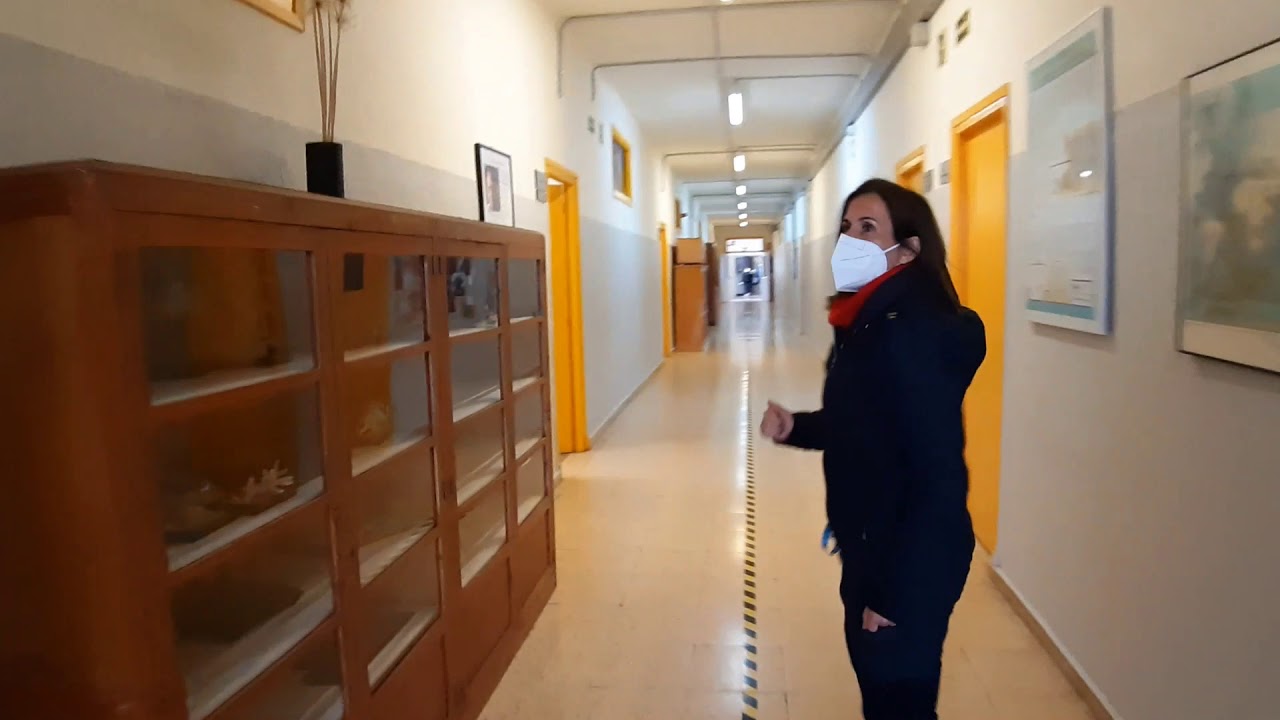 Presentación del Instituto Pedralbes v2