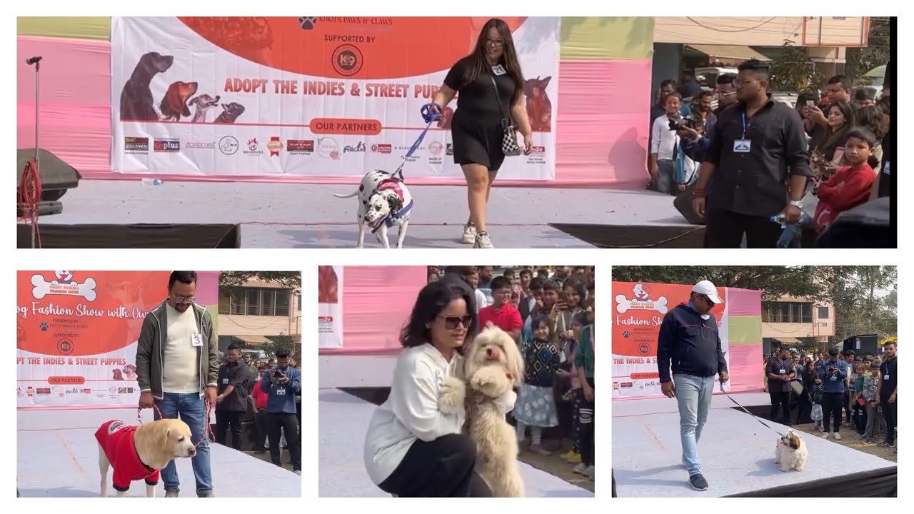 Dog Fashion Show 2023 | Dog Show Guwahati | Furry Fashion Show 2023 | All Breed Fashion Show |