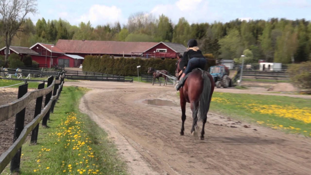 En film om monté
