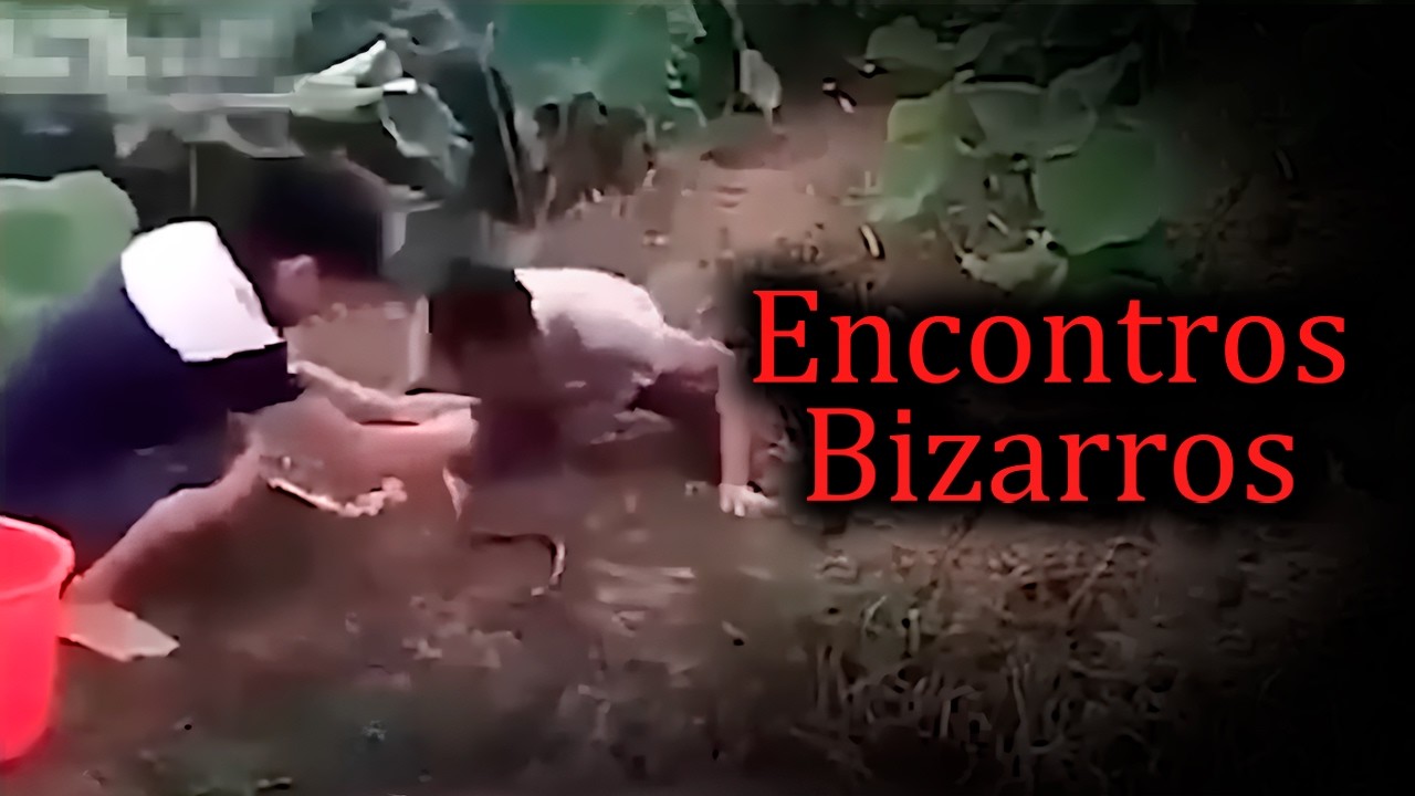 Os Piores Encontros na Amazônia