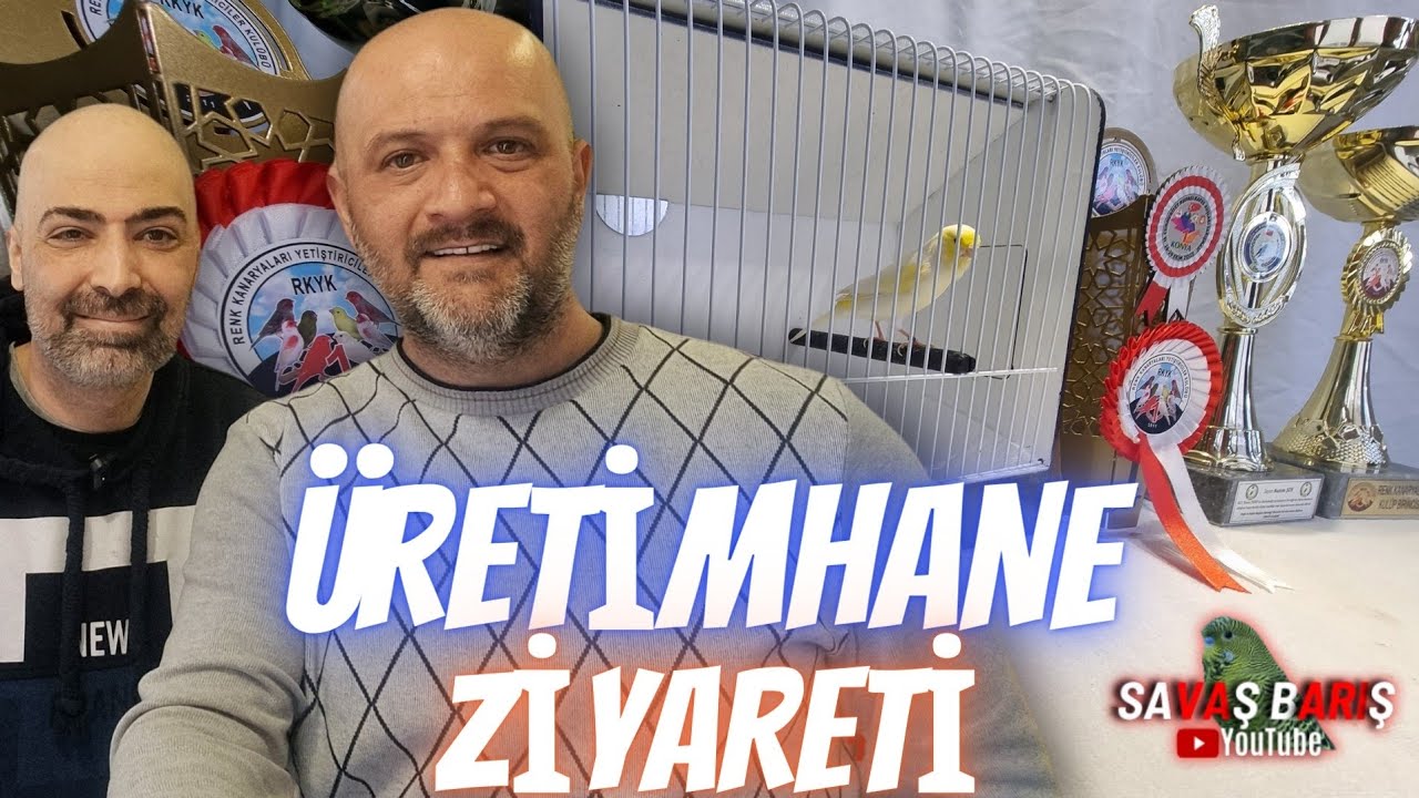 Şampiyon Sarı Mozaik Kanarya Üretim Hanesi Ziyareti - Muhabbet Kuşu, Kanarya Kür ve Hastalık Sohbeti