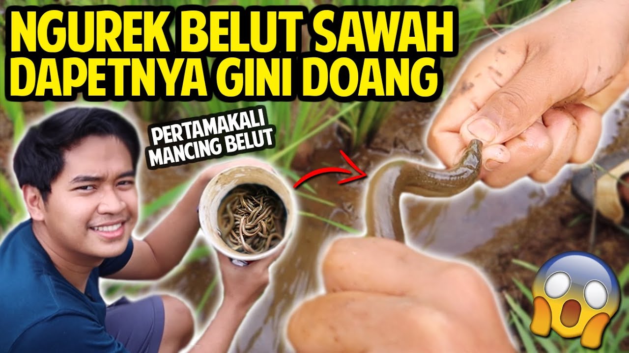PERTAMAKALI MANCING BELUT DI SAWAH! BERJAM-JAM CUMA DAPET GINIAN DOANG!